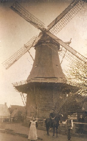 Een opname van de koren- en pelmolen De Liefde te Uithuizen uit 1928 - foto: collectie B. D. Poppen