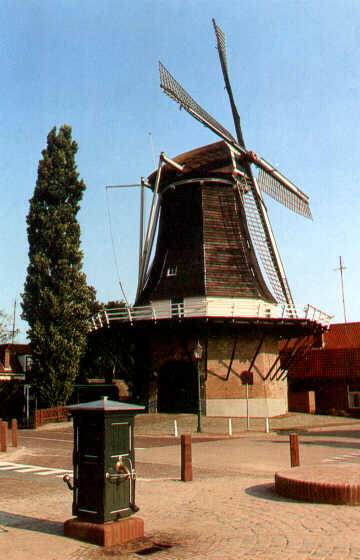 de Wijhese molen (Foto: ansichtkaart)